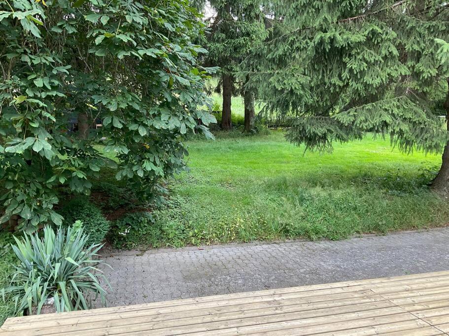 Wohnung In Idyllischem Oertchen Meschede Eksteriør bilde